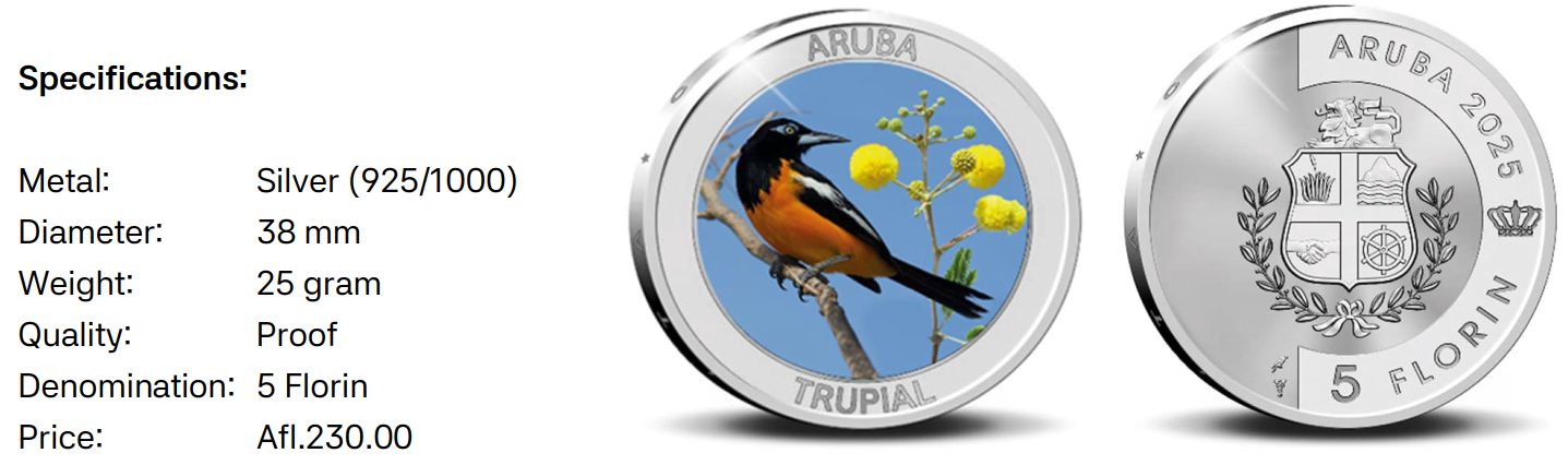 Screenshot 2026-03-05 8.10.09 AM.png